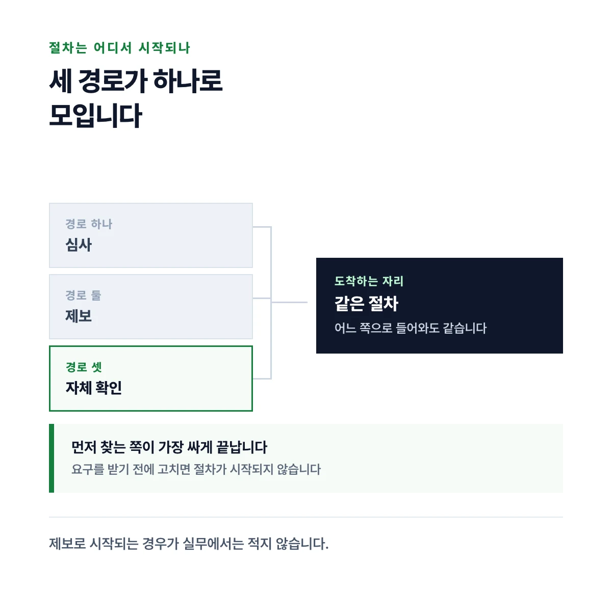 심사와 제보와 자체 확인 세 경로가 하나의 절차로 모이는 구조를 화살표로 나타낸 도식