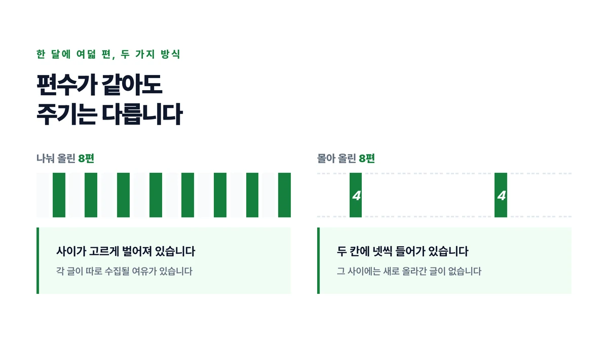 같은 여덟 편을 하루에 몰아 올린 경우와 나흘 간격으로 나눠 올린 경우를 나란히 놓은 표지